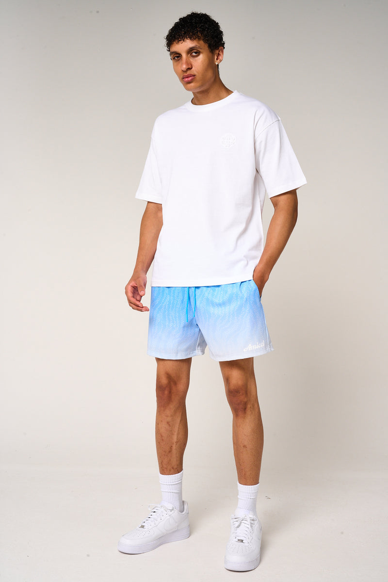 Luciano Mesh Swimshort Blue