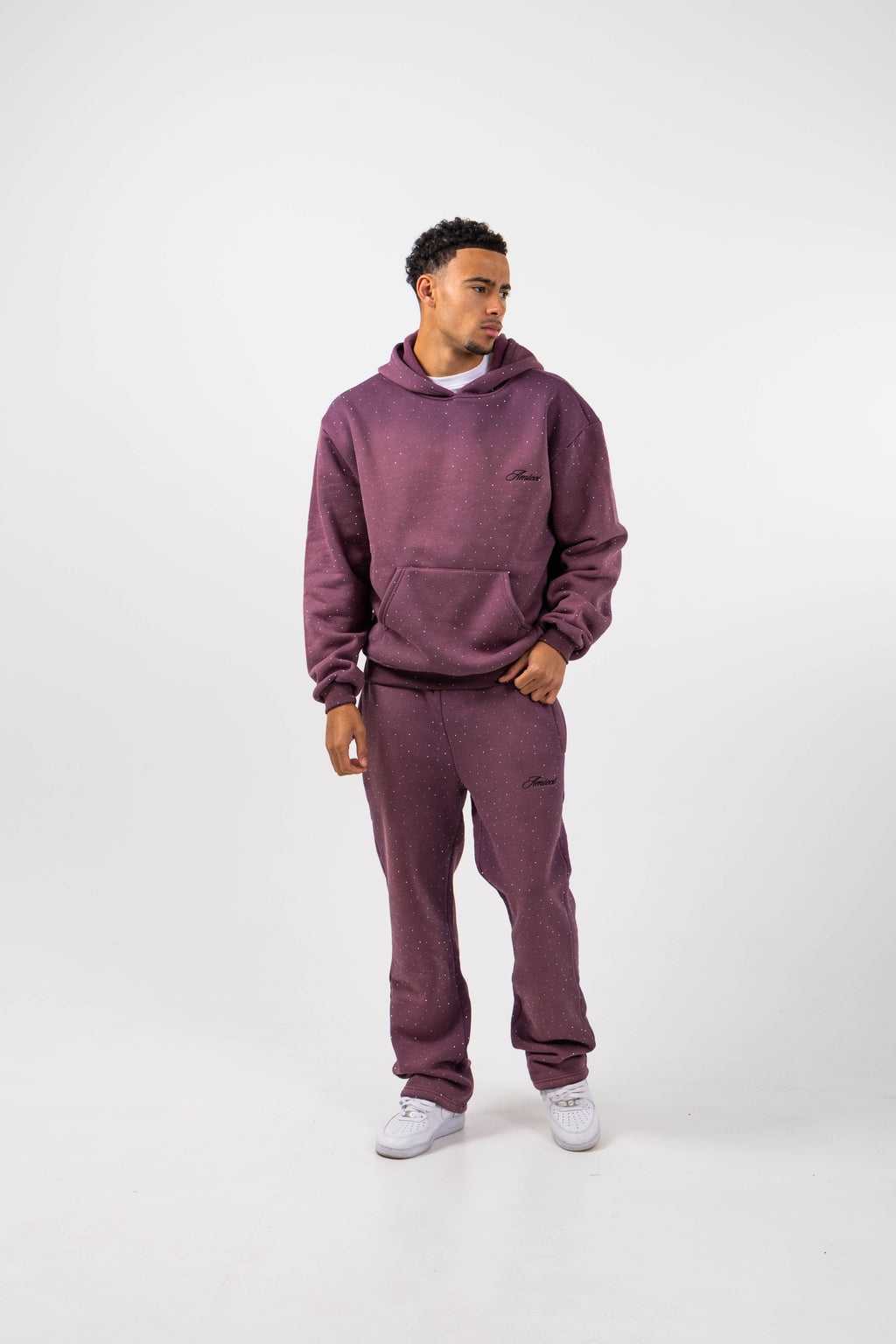 Massimo Embellished Hoodie Plum
